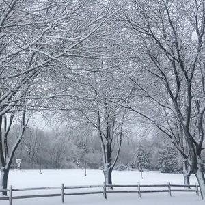 Meet your Posher, Jane